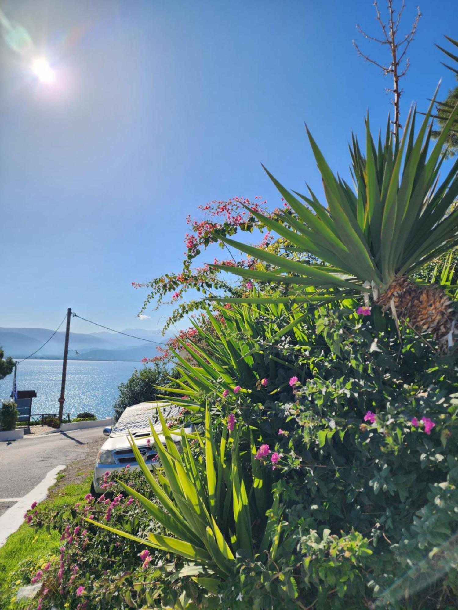 85 Sqm Apartments New Panorama Electric Car Φωρτησησ Station Parálion Ástros Exteriör bild